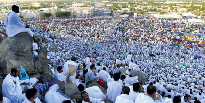 برامج الحج